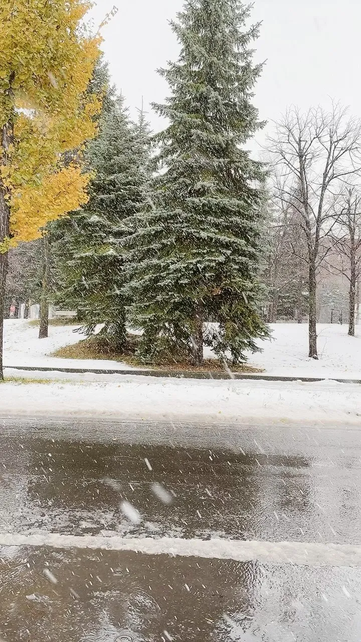 雪❄️撮りたがる